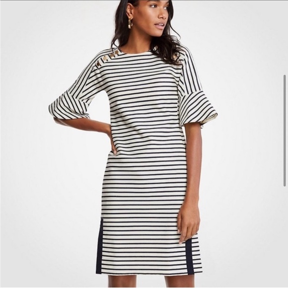 Ann Taylor Striped Fluted‎ Sleeve Shift Dress Size Large - Picture 1 of 6